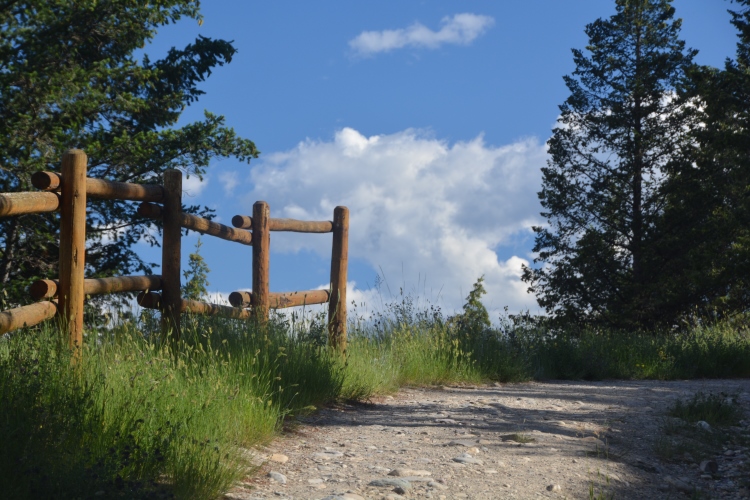 the hike up to the hoodoos